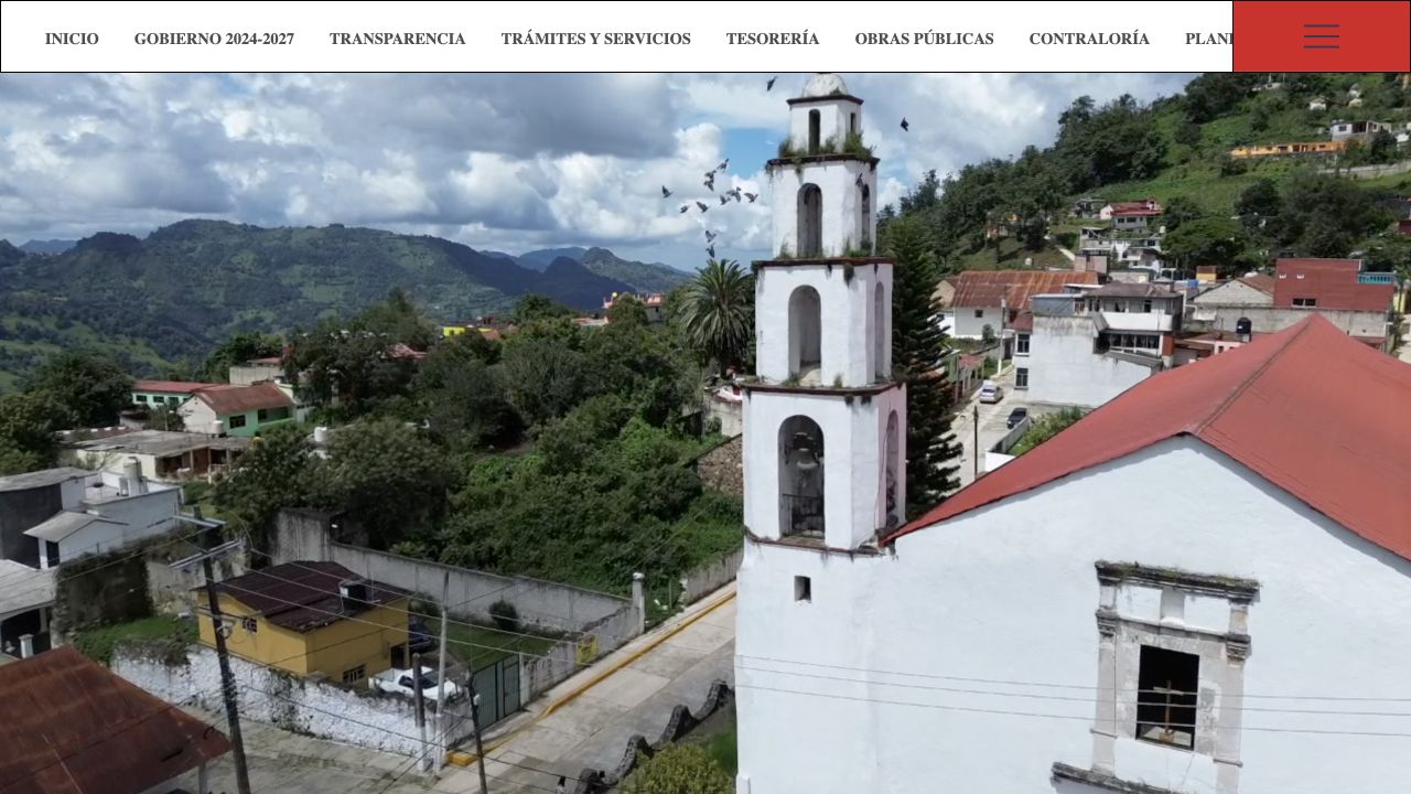 Captura del sitio web de Xochicoatlán